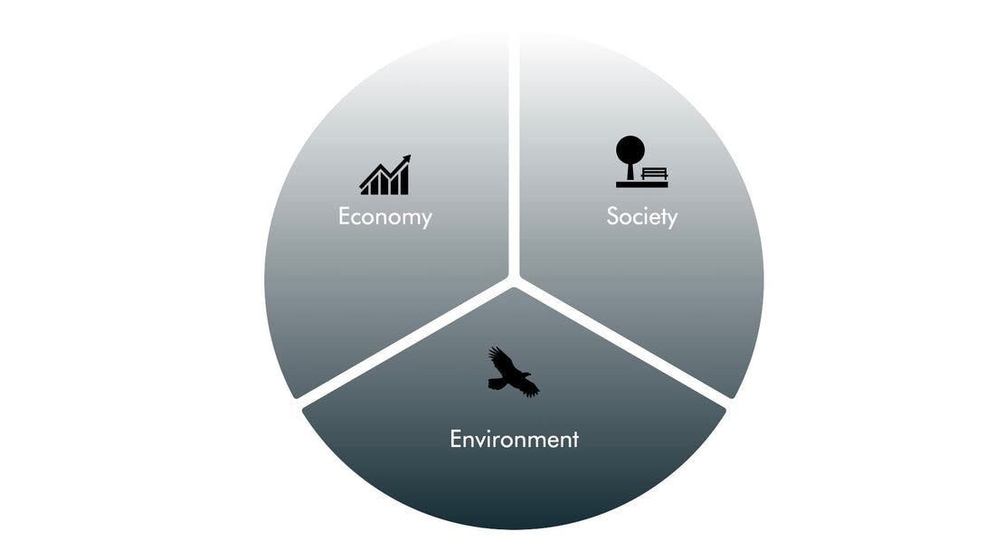 Economy - Society - Environment